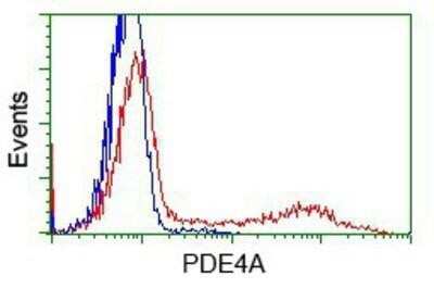 Flow Cytometry: Phosphodiesterase 4A/PDE4A Antibody (OTI1C8) - Azide and BSA Free [NBP2-73376]
