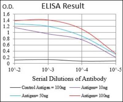ELISA: Phospholipase A2 XII Antibody (3H2C11) - BSA Free [NBP2-37255]