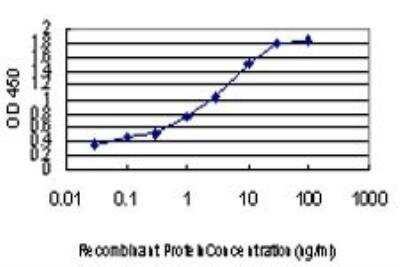 ELISA: Phospholipase D2 Antibody (1C5) [H00005338-M01]
