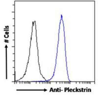 Flow Cytometry: Pleckstrin Antibody [NB100-1343]
