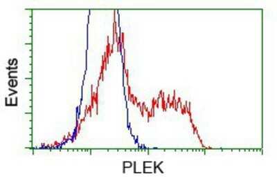 Flow Cytometry: Pleckstrin Antibody (OTI6H8) - Azide and BSA Free [NBP2-73464]