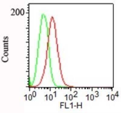 Flow Cytometry: Podocalyxin Like Antibody (3D3) - Azide and BSA Free [NBP2-33108]