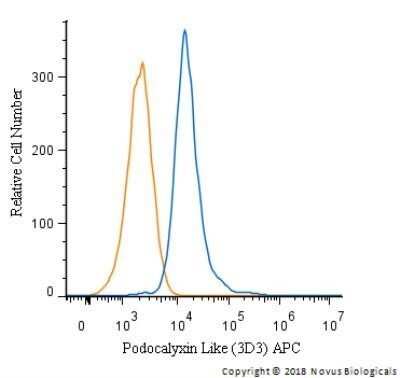 Flow (Intracellular): Podocalyxin Like Antibody (3D3) - Azide and BSA Free [NBP2-33108]