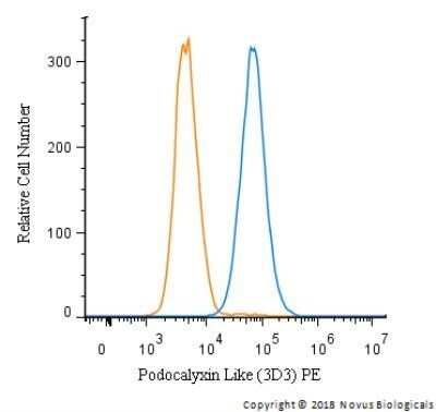 Flow (Intracellular): Podocalyxin Like Antibody (3D3) - Azide and BSA Free [NBP2-33108]