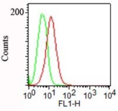 Flow Cytometry: Podocalyxin Like Antibody (3D3) [NBP2-25219]