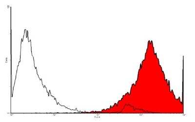 Flow Cytometry: Podoplanin Antibody (18H5) - Azide and BSA Free [NB600-1013]
