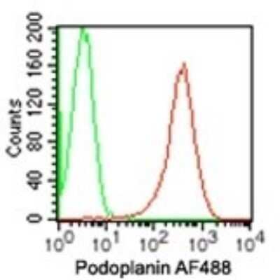 Flow Cytometry: Podoplanin Antibody (NZ-1.2) - BSA Free [NBP2-03952]
