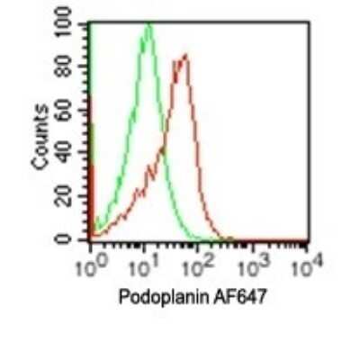Flow Cytometry: Podoplanin Antibody (pmab-1) - Azide and BSA Free [NBP2-80917]