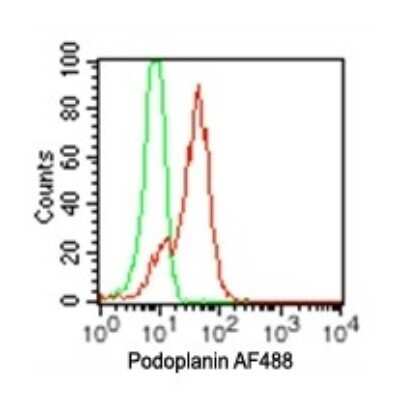 Flow Cytometry: Podoplanin Antibody (pmab-1) - BSA Free [NBP2-03955]