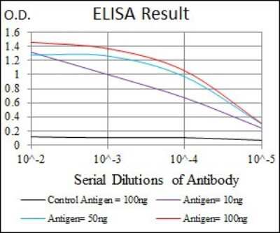ELISA: Pref-1/DLK1/FA1 Antibody (3A10) - BSA Free [NBP2-37548]