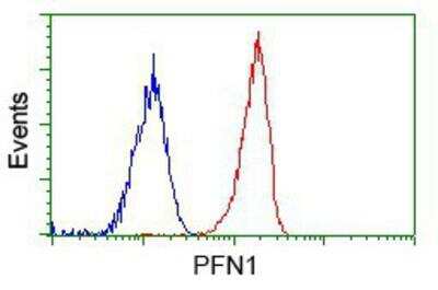 Flow Cytometry: Profilin 1 Antibody (OTI1D5) [NBP2-02577]