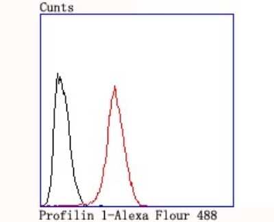 Flow Cytometry: Profilin 1 Antibody (JA30-13) [NBP2-67078]