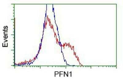 Flow Cytometry: Profilin 1 Antibody (OTI1D5) - Azide and BSA Free [NBP2-73605]