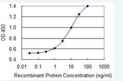 ELISA: Prolyl Oligopeptidase/PREP Antibody (2D7) [H00005550-M04]