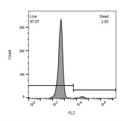 Flow Cytometry: Propidium Iodide [NBP2-31155]