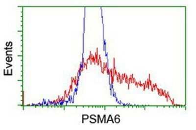 Flow Cytometry: Proteasome 20S alpha 6 Antibody (OTI4C9) - Azide and BSA Free [NBP2-73637]