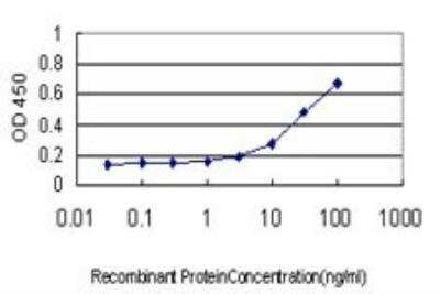ELISA: Proteasome 20S beta 6 Antibody (S51) [H00005694-M02]