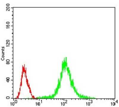 Flow Cytometry: Protein Phosphatase 1 beta Antibody (8A7C7) - BSA Free [NBP2-52539]