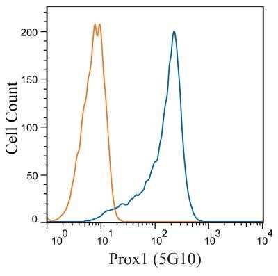 Flow Cytometry: Prox1 Antibody (5G10) - Azide and BSA Free [NBP2-80920]