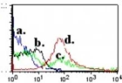 Flow Cytometry: QA1b Antibody (6A8.6F10.1A6) - Azide and BSA Free [NBP2-26667]