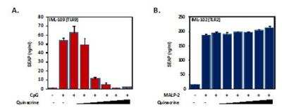 Other: Quinacrine Inhibitor [NBP2-29385]