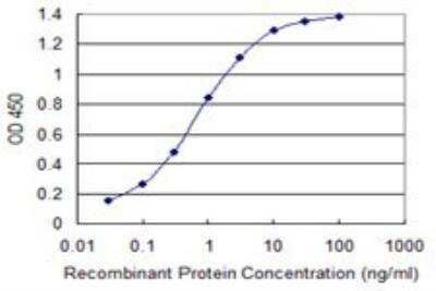 ELISA: RAB1B Antibody (1B2) [H00081876-M02]