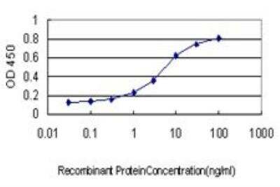 ELISA: RAB3B Antibody (3F12) [H00005865-M01]