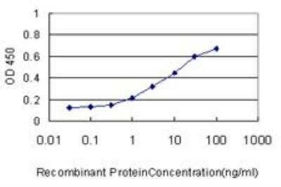 ELISA: RAB43 Antibody (5G4) [H00339122-M01]