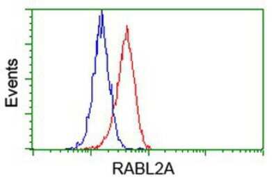 Flow Cytometry: RABL2A Antibody (OTI4A8) [NBP2-03281]