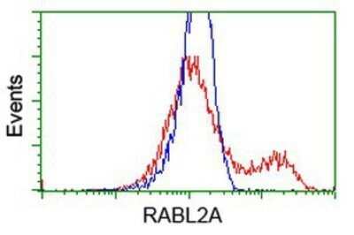 Flow Cytometry: RABL2A Antibody (OTI4A8) - Azide and BSA Free [NBP2-73776]