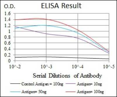 ELISA: RAG1 Antibody (1D9) - BSA Free [NBP2-37449]