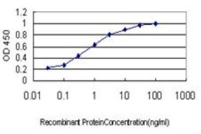 ELISA: RALBP1 Antibody (2A1) [H00010928-M02]