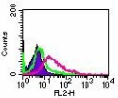 Flow Cytometry: RANK/TNFRSF11A Antibody (64C1385.1) - Azide Free [NBP2-33256]