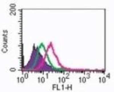 Flow Cytometry: RANK/TNFRSF11A Antibody (9A725) - Azide and BSA Free [NBP2-33213]