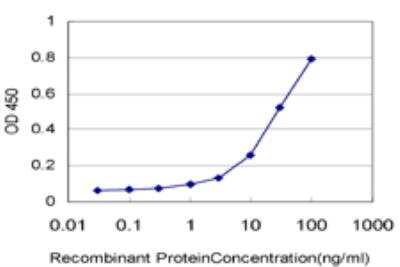 ELISA: RAPGEFL1 Antibody (4G2) [H00051195-M04]
