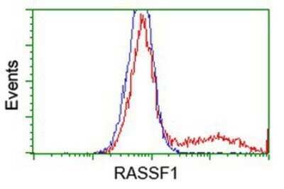 Flow Cytometry: RASSF1 Antibody (OTI2B11) - Azide and BSA Free [NBP2-73786]