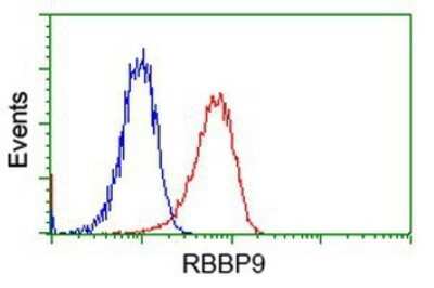 Flow Cytometry: RBBP9 Antibody (OTI4G3) - Azide and BSA Free [NBP2-73828]