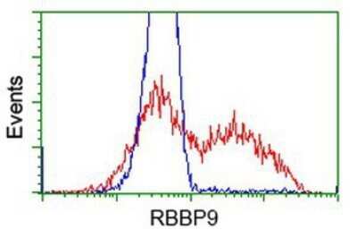 Flow Cytometry: RBBP9 Antibody (OTI4G3) - Azide and BSA Free [NBP2-73828]