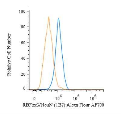 Flow Cytometry of SH-SY5Y Cells Stained with Alexa Fluor 700 Conjugated RBFOX3/NeuN Antibody
