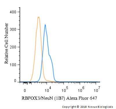 Flow Cytometry of A549 Cells Stained with Alexa Fluor 647 Conjugated RBFOX3/NeuN Antibody