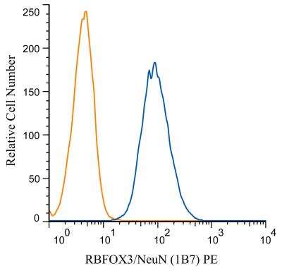 Flow Cytometry of SH-SY5Y Cells Stained with Phycoerythrin Conjugated RBFOX3/NeuN Antibody