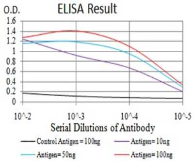 ELISA: RBFOX3/NeuN Antibody (1H3B2) - BSA Free [NBP2-61848]