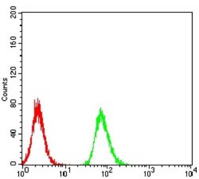 ELISA: RBFOX3/NeuN Antibody (1H3B2) - BSA Free [NBP2-61848]