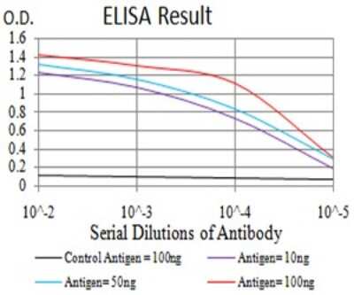 ELISA: RBFOX3/NeuN Antibody (5A4B9) - BSA Free [NBP2-61841]