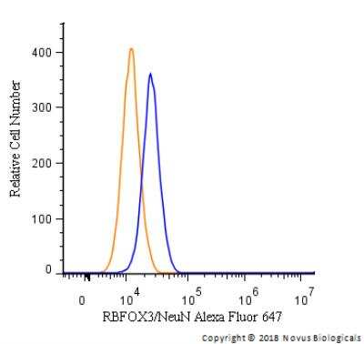 Flow Cytometry: RBFOX3/NeuN Antibody - BSA Free [NBP1-77686]