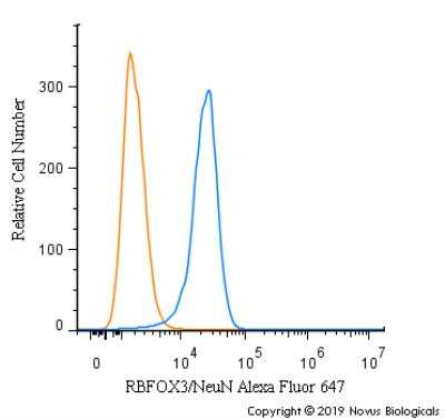 Flow Cytometry: RBFOX3/NeuN Antibody - BSA Free [NBP1-77686]