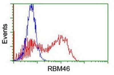 Flow Cytometry: RBM46 Antibody (OTI1D6) - Azide and BSA Free [NBP2-73833]