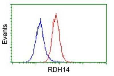 Flow Cytometry: RDH14 Antibody (OTI1A7) - Azide and BSA Free [NBP2-73847]