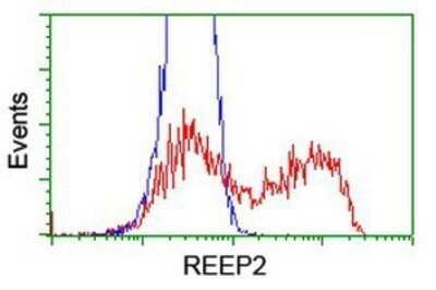 Flow Cytometry: REEP2 Antibody (OTI2C7) - Azide and BSA Free [NBP2-73849]