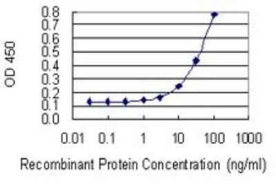 ELISA: RERE Antibody (2F2) [H00000473-M06]